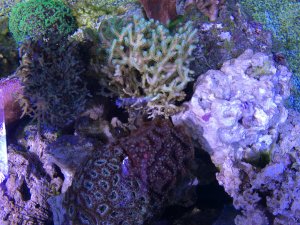 IMG_4957.JPG