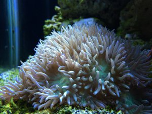 IMG_5188.JPG