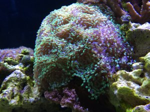 IMG_5190.JPG