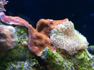 IMG_5192.JPG