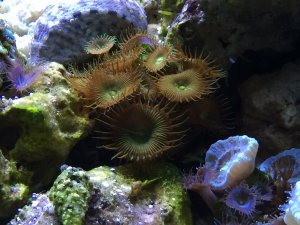 IMG_5373.JPG
