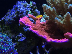 IMG_5826.JPG