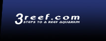 3reef.com