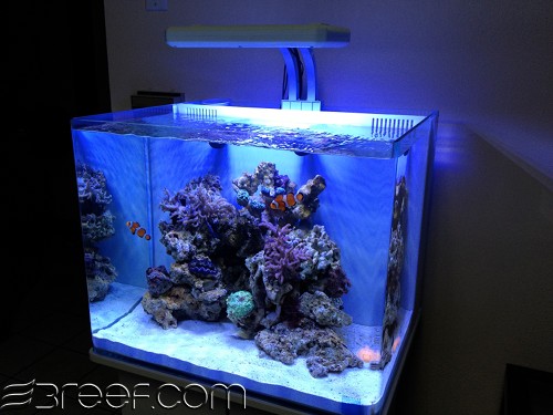 http://www.3reef.com/images/misc/innovative_marine_white_tablet.jpg