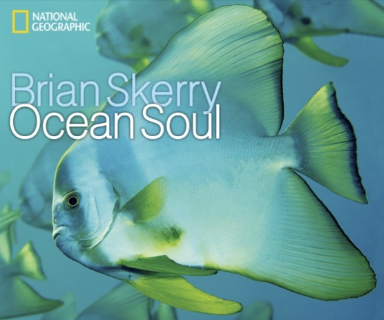 http://www.3reef.com/images/misc/ocean_soul.jpg