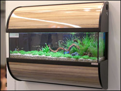 http://www.3reef.com/images/misc/products/aquariummove.jpg