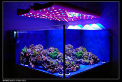http://www.3reef.com/images/misc/products/royal/ecobright.jpg
