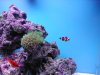 Aquarium2_056.jpg