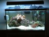 05-07-03nano.JPG