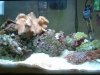Nano06-10-03.JPG