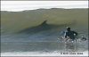 surfer.jpg