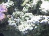 100MSD-DSC00001_DSC00001.JPG