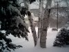 snow_2.JPG