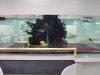 Tank_at_Kingdom_City_3.jpg