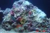 Close_up_rock.JPG
