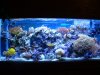 DSCF0107.JPG