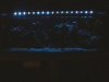 LEDs_001.jpg