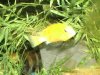 tank_009_2.jpg