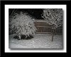 snowBackdoor.jpg