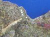 white_spots1.jpg
