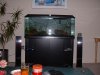 fishtank.JPG