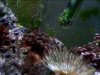 unknown_macro_2.JPG