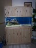 Custom_Bulid_stand_and_Canopy02.jpg