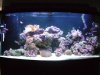 Full_tank_view.JPG