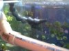 swcd_loc_line_tubing.JPG
