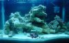 1st_reef.jpg