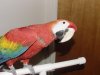 DSC00432.JPG