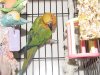 DSC00445.JPG