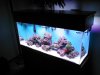 Aquarium2_040.jpg
