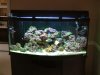 Tank-_4-11-03_.JPG