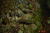 hiding.jpg