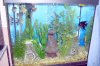 25_freshwater.JPG