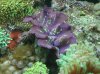 P4150006_425X318.jpg