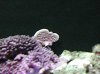 P8080010_410X307.jpg