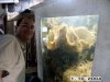 inland-aquatics_trip11004_0231.jpg