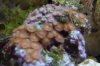 Copy_of_DSC00770.JPG