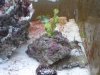 DSC00514.jpg