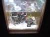 DSC00513.jpg
