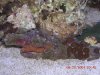 DSCN2191.JPG