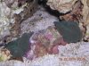 DSCN2192.JPG