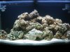 46gal_Bow.jpg