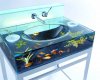 goldfish_sink.jpg