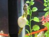 aNewTank_382.jpg