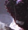 00424.JPG