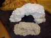rocks2_012.jpg
