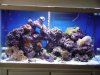full_tank_pic_1.jpg